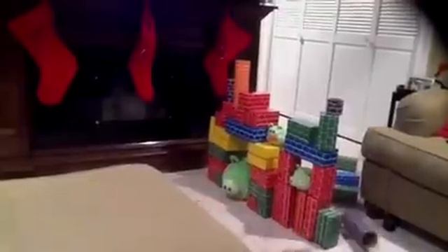 Connor's Angry Birds смотреть онлайн