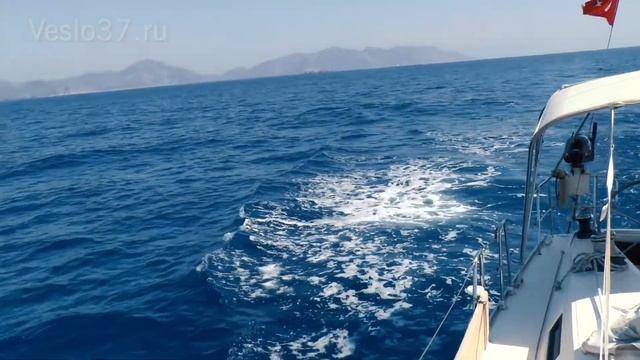 Путешествие под парусом или как мы учились ходить смотреть онлайн