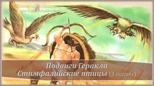 3 подвиг Геракла. Стимфалийские птицы