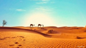 Музыка Восточная без Слов  1 час Ритмичная Музыка Востока