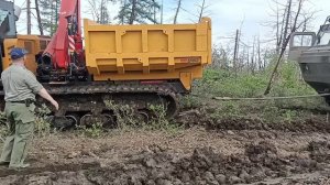 Витязь тащит бегемота из болота