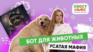 Хвостатые вечеринки, новая вспышка бешенства, pet-friendly кафе и другие новости «Хвост Ньюс» #68