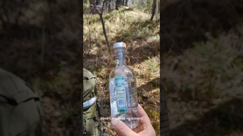 Это настоящая опасность для Тайги. #путешествие #поход #лес