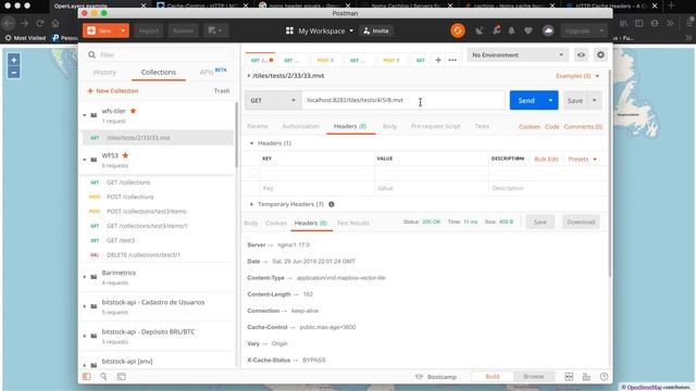 WFS3 to MVT (Mapbox Vector Tile) Online Renderer Demo - https://github.com/flaviostutz/wfs-tiler смотреть онлайн
