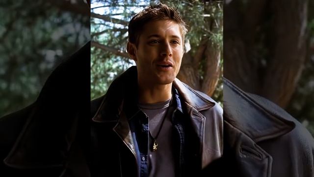 video5357426648935310278