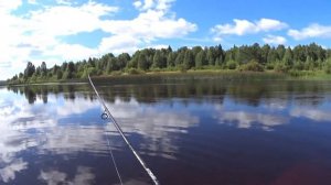 Этот воблер косит Щук.#Новинка_ALLBLUE #DUO_TIDE_MINNOW_75 копия воблера от AllBlue Sprint 75SP