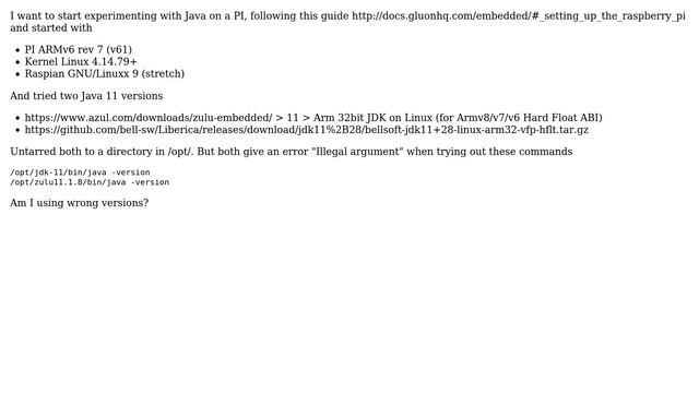 Raspberry Pi: Java 11 not working смотреть онлайн