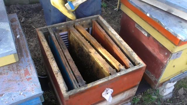 В каком состоянии находятся семейки с эл. обогревом смотреть онлайн