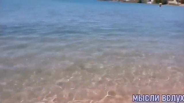 Севка Ад волк шкуру меняет,а повадки те же.После слов бабки у людей не отпала охота помогать ей? смотреть онлайн