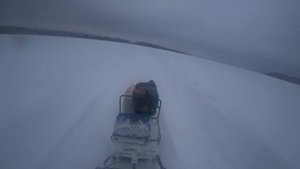 Покатушки на мотособаке