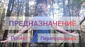 Предназначение. Как понять себя!? Проект Перепрошивка.