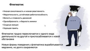 Типы высшей нервной деятельности у малышей до года.