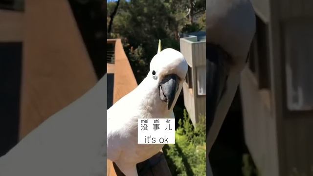 We all need a little comfort some times. This is how to comfort your friends in Chinese смотреть онлайн