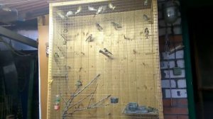 Певчие дикие птицы свеже пойманые