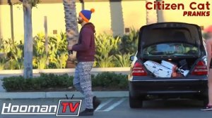 ТОП 5 РАЗВОДОВ ДЕВУШЕК НА БЕЗУМНУЮ ТАЧКУ / Citizen Cat PRANKS