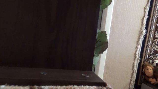 Полка для кошек своими руками.