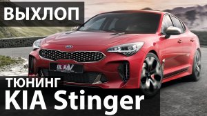 Тюнинг KIA Stinger Turbo. Подбор банок. Установка заслонки. КИА Стингер Турбо 2019