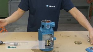 Calpeda T, TP / Разборка