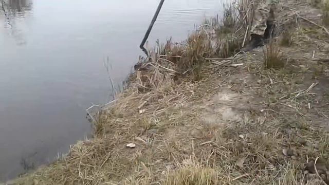 Сітка нема риби смотреть онлайн