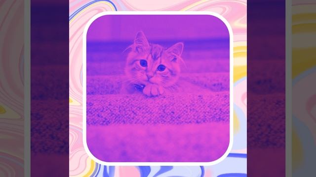 Музыка (Кошки) смотреть онлайн