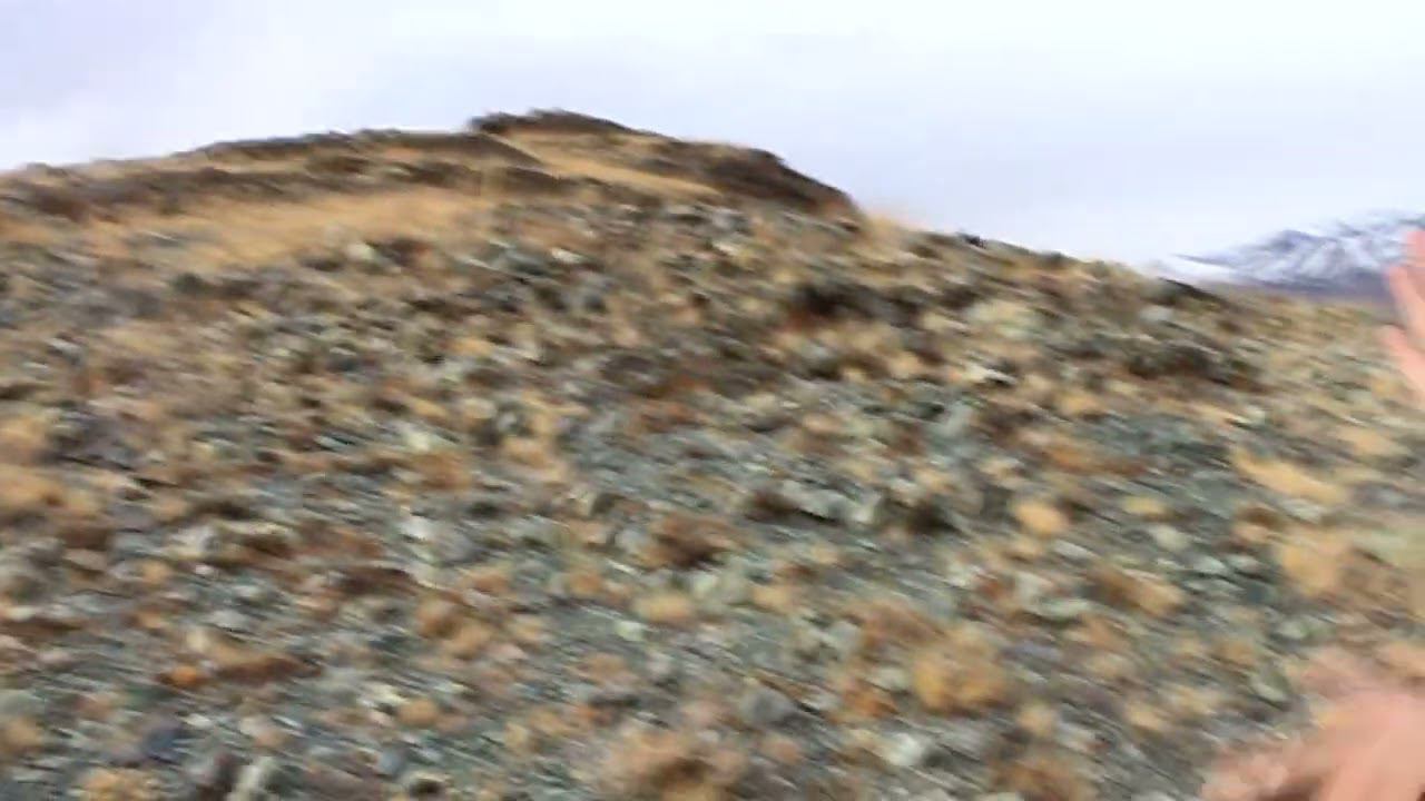 Геологические прогулки. Чибитский прорыв, Тялбак-Таш, Курай смотреть онлайн