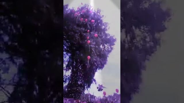 Ребята как трогательно выпускной удачи вам друзья смотреть онлайн