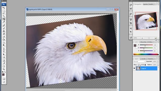 02 - Girar una fotografía con Photoshop смотреть онлайн