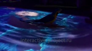 Интерактивный пол с играми для детей ЧУДОЗНАЙКА.  Интерактивный пол для детского сада