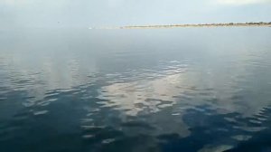 Прогулка на пороме и куча медуз  Чёрное Море  Скадовск