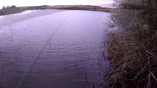 Рыбалка на поплавок 7 сентября 2022 смотреть онлайн