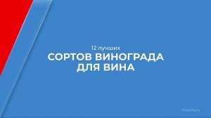 Курс обучения "Технология виноделия (Винодел)" - 12 лучших сортов винограда для вина