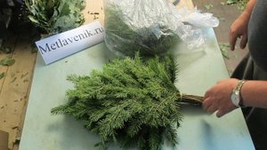 Как правильно хранить хвойные веники