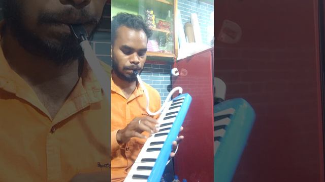 Teri jhalak sharfi// Instrumental//Melodice //Piano me// смотреть онлайн