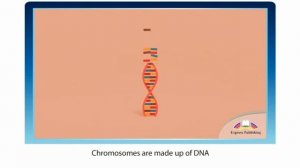 Action 10. Module 1. Genetics. Ex 2 p 8 SB