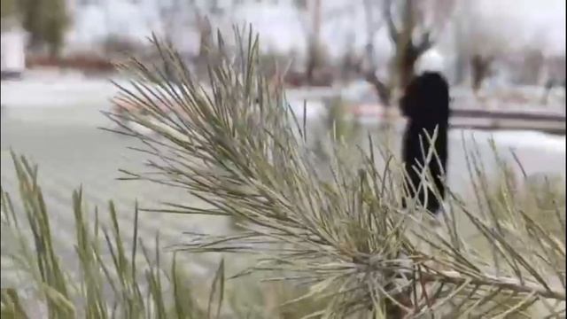 33-я годовщина вывода ограниченного контингента советских войск из Афганистана смотреть онлайн