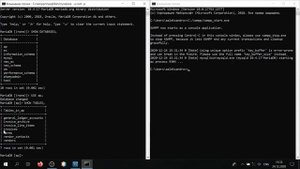 Запускаем через командную строку/терминал MySQL