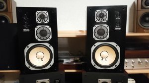 YAMAHA NS-100M.  Тест 1