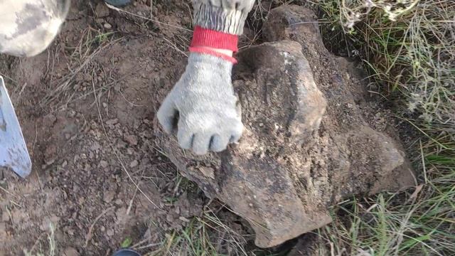 VID_20221005_161024.mp4 смотреть онлайн