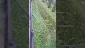 Дивеево - Четвёртый земной удел (земной жребий) Пресвятой Богородице.mp4