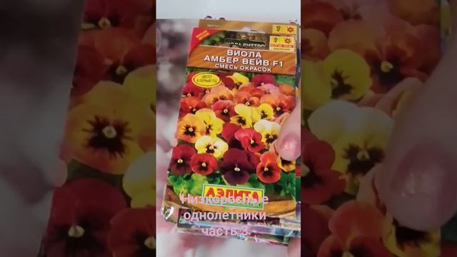 Низкорослые однолетние часть 3 смотреть онлайн