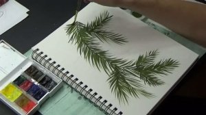 Еловая ветка с шишками в зимнем лесу