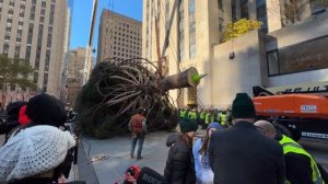 Installation of NYC Rockefeller Center Christmas Tree 2023