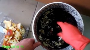 Заготовка червя на зиму