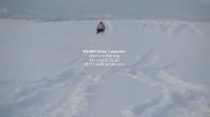 Bombardier ski-doo 800