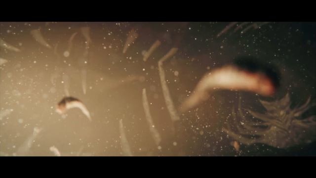 Intro. Основні задачі на проходження.