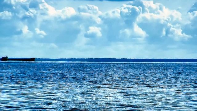 Каменниковский полуостров - вело ПВД 2009 смотреть онлайн