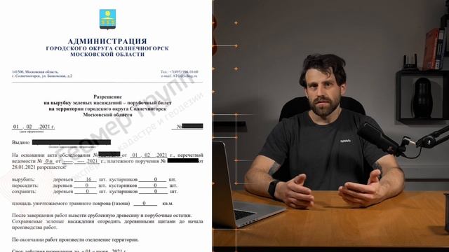 Порубочный билет и подеревная съемка  Срубил дерево - получил штраф  Геомер групп