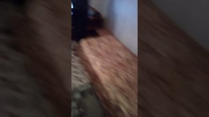 г. Обоянь, Курская обл. Гостиница ЗАО "ИЗОПЛИТ"