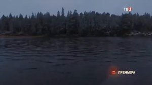 Дом с чёрными котами - Трейлер (2018)