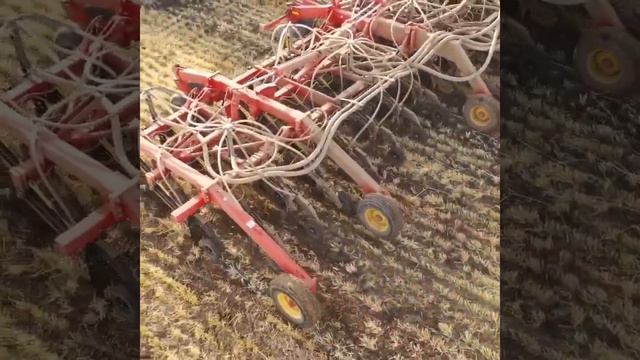 Seeding oats смотреть онлайн